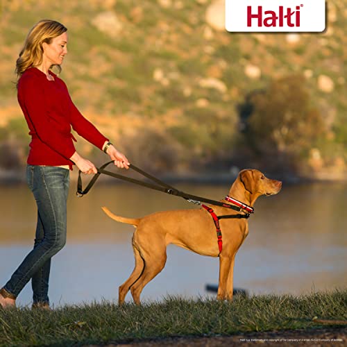 HALTI Front Control Harness, Size Small, Bestselling Professional Dog Harness to Stop Pulling on the Lead, Easy to Use, Anti-Pull Training Aid, Front Leading No Pull Harness for Small Dogs