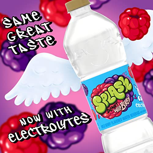 Splash Blast, Wild Berry Flavored Water, Zero Sugar, with Electrolytes, 16.9 Fl Oz, 6 Pack