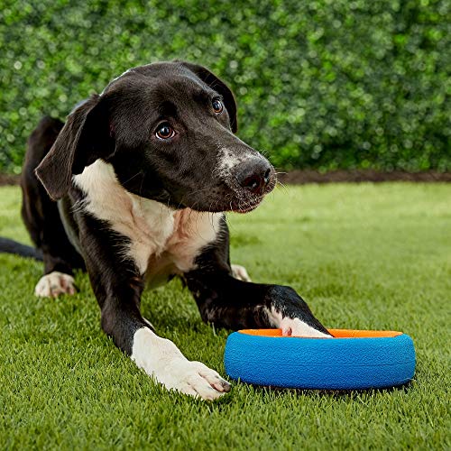 ChuckIt! Fetch Wheel Toy for Dogs, Small