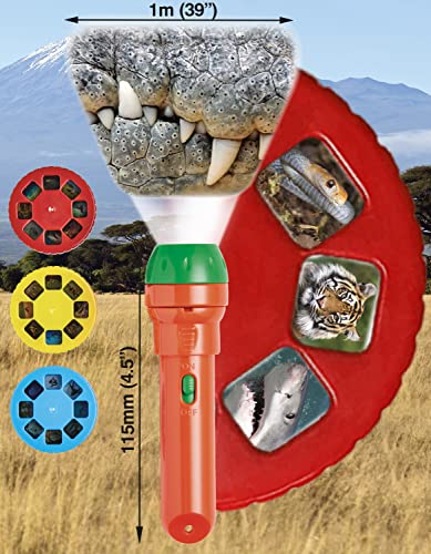 Brainstorm Toys Most Deadly Flashlight and Projector, Multi, One Size