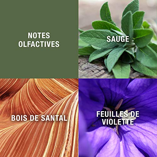 Men's Cologne By Geoffrey Beene, Grey Flannel, Eau De Toilette EDT Spray, 4 Fl Oz