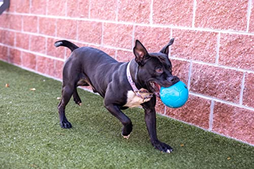 Jolly Pets Medium Soccer Ball Floating-Bouncing Dog Toy, 6 inch Diameter, Ocean Blue