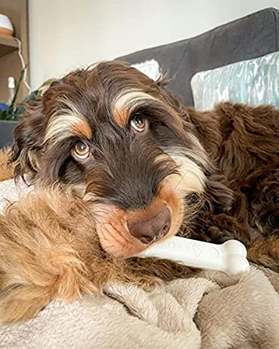 Nylabone Power Chew Durable Dog Toy Chicken Large/Giant (1 Count)