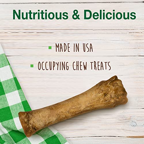 Nylabone Healthy Edibles All-Natural Long Lasting Chicken Flavor Dog Chew Treats 1 Count Chicken X-Large/Souper