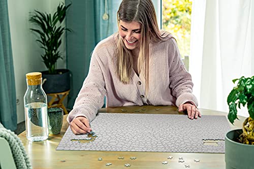 Ravensburger Krypt Silver 654 Piece Blank Jigsaw Puzzle Challenge for Adults – Every Piece is Unique, Softclick Technology Means Pieces Fit Together Perfectly