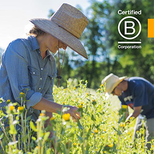 Herb Pharm Propolis Extract for Immune System Support - 1 Ounce