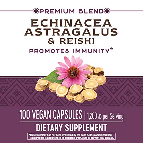 Nature's Way Echinacea Astragalus and Reishi, Immune Support*, 100 Capsules