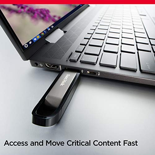 SanDisk 256GB Extreme Go USB 3.2 Type-A Flash Drive - SDCZ810-256G-G46