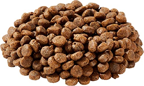 Health Extension Dry Dog Food, Natural Food with Added Vitamins and Minerals, Suitable for All Puppies, Include Buffalo and Whitefish Recipe with Whole Vegetable and Berries (4 Pound)