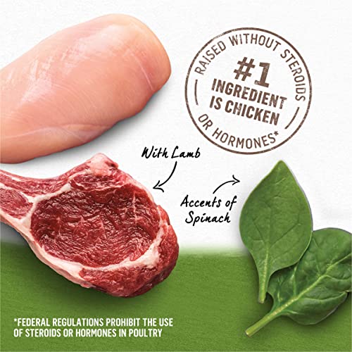 Purina Beyond Chicken, Lamb and Spinach Ground Natural Grain Free Wet Dog Food with Added Vitamins and Minerals - (12) 13 oz. Cans
