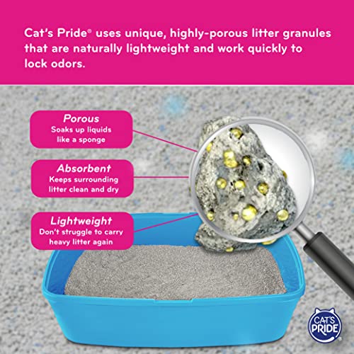 Cat's Pride Premium Lightweight Multi-Cat Hypoallergenic Clumping Litter 10 Pounds, Complete Care