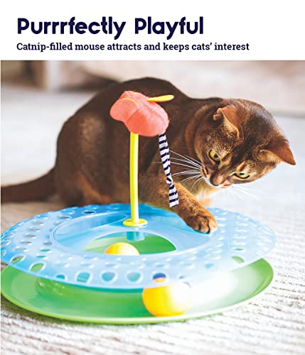 Petstages Cheese Chase Catnip Interactive Cat Track Toy