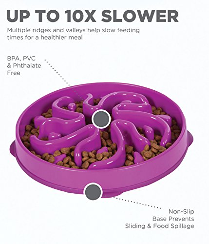 Outward Hound Fun Feeder Slo Bowl, Slow Feeder Dog Bowl, Large/Regular, Purple