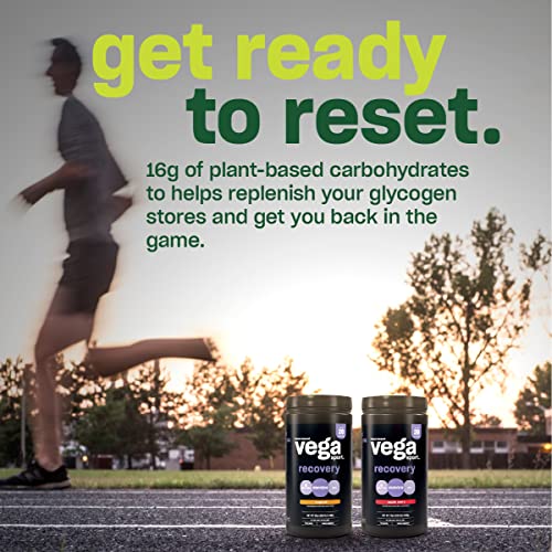 Vega Sport Recovery Apple Berry (20 Servings) Post Workout Recovery Drink for Women and Men, Electrolytes, Carbohydrates, B-Vitamins, Vitamin C and Protein, Vegan, Gluten Free, Dairy Free, 1.2lbs