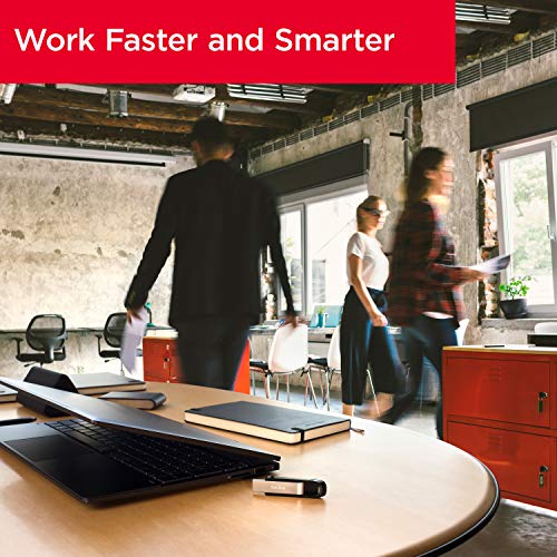 SanDisk 256GB Extreme Go USB 3.2 Type-A Flash Drive - SDCZ810-256G-G46