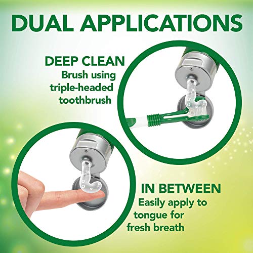 Vet’s Best Dog Toothbrush and Enzymatic Toothpaste Set - Teeth Cleaning and Fresh Breath Kit with Dental Care Guide - Vet Formulated