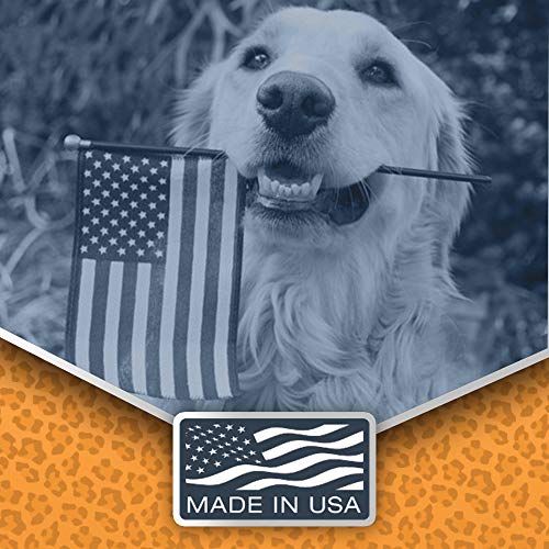 Jungle Pet Dog Multivitamin for Dogs - Antioxidants, Minerals and Vitamin E for Dogs - Heart Shaped Dog Multivitamins Chewable Dog Vitamins and Supplements - Hickory Bacon Flavor - 60 ct