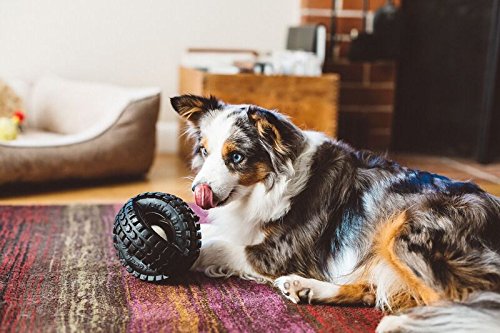 Pet Qwerks X-Tire Ball Dog Toys - Jingle Interactive Chew Toy - Small