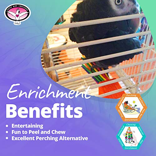 Super Bird Creations SB301 Chewable Paper Party Bird Toy with Colorful Lollipop Sticks, Large Size, 6.5” x 1.5” x 1.5”,Varies