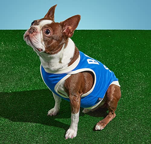 Brass Monkey Born to Sleep Dog Tank; Pre-Shrunk Cotton Pet Muscle Tank; Small (16' Chest); Cute Dog Accessories with Eye-Catching Design