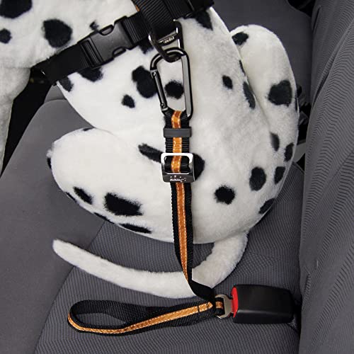 Kurgo Direct To seat belt Tether for Dogs, Universal Car seat belt for Pets, Adjustable Length Dog Safety Belt, quick and Easy Installation, Carabiner clip, Compatible with Any Pet Harness (Orange)