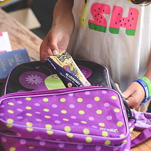 Don't Go Nuts Nut-Free Organic Chewy Granola Bar, Blueberry, 12 Count, Non GMO, Gluten Free