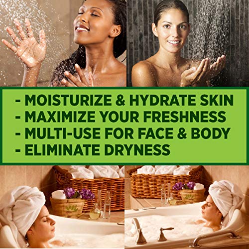 Olivia Care Lavender Bar Soap-4 pack box set - 100% Natural Ingredients, Organic, Vegan - For Face and Body, Cold-pressed Triple-Milled, Hydrating, Moisturizing, Infused Calcium and Vitamins - 4 X 5 oz