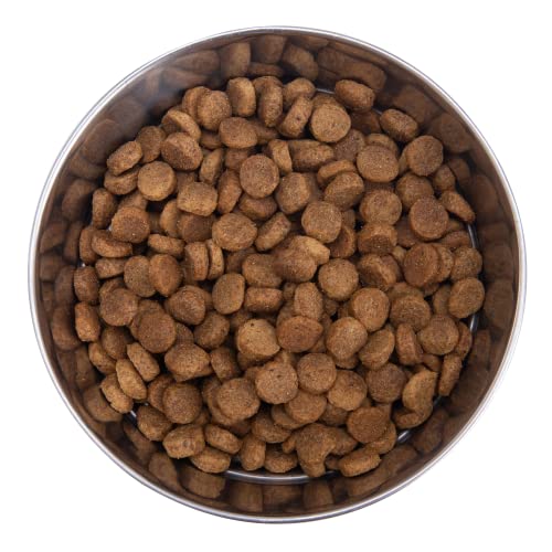 Health Extension Weight Control Dry Dog Food, Natural Food for Overweight Adult Dogs with Added Vitamins and Mineral, Lite Chicken and Brown Rice Recipe (15 lbs / 6.8 kg)