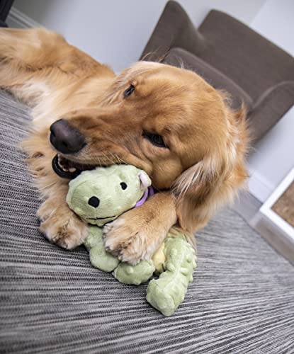 goDog Bubble Plush Dragons Squeaky Dog Toy, Chew Guard Technology - Lime, Large
