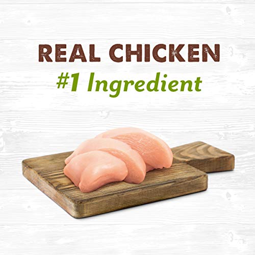 Waggin' Train Chicken Jerky for Dogs - Limited Ingredient Dog Treats for Dogs Made in The USA - 30 oz. Pouch