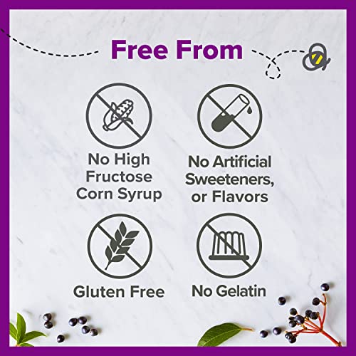 Zarbee's Elderberry Gummy Daily Immune Support Supplement with Vitamins A, C, D, E and Zinc, Black Elderberry Fruit Extract, Natural Berry Flavor, 42 Count