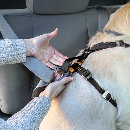Kurgo Dog Harness | Car Harness for Dogs | Small | Pet Safety Seat Belt | Certified Crash Tested Harness | Car Seatbelt | Tru-Fit Enhanced Strength Style | Black