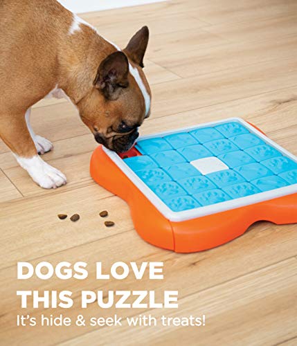 Outward Hound Nina Ottosson Challenge Slider Interactive Treat Puzzle Dog Toy, Advanced