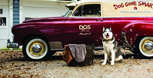 Dog Gone Smart Shammy Dog Towels For Drying Dogs - Heavy Duty Soft Microfiber Bath Towel - Super Absorbent, Quick Drying, and Machine Washable - Must Have Dog and Cat Bathing Supplies | Brown 13x31'