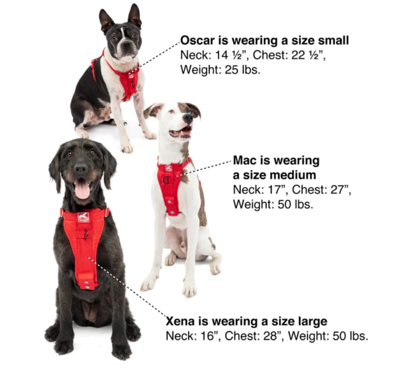 Kurgo Dog Harness | Car Harness for Dogs | Small | Pet Safety Seat Belt | Certified Crash Tested Harness | Car Seatbelt | Tru-Fit Enhanced Strength Style | Black