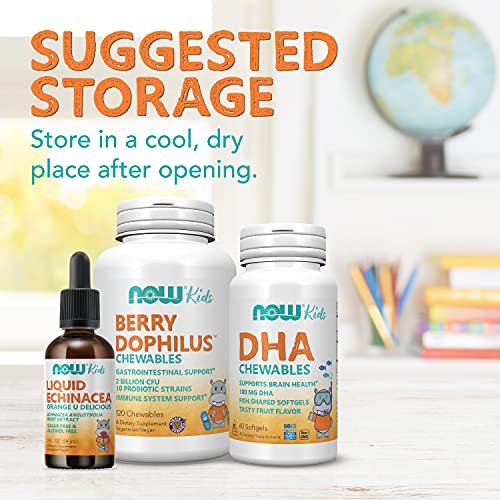 NOW Supplements, BerryDophilus™ with 2 Billion, 10 Probiotic Strains, Xylitol Sweetened, Strain Verified, 120 Chewables, packaging may vary