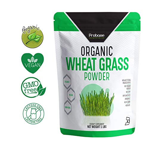 PROBASE NUTRITION Organic Wheatgrass Powder - 1 Pound - Rich in Immune Vitamins, Fibers, Fatty Acids and Minerals - Supports Immune System and Digestion Function - Vegan - Non-GMO