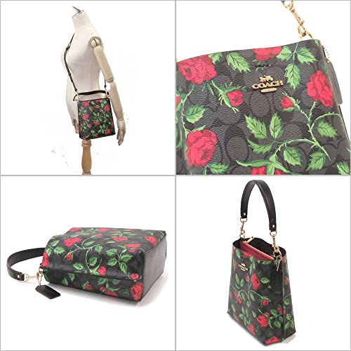 COACH Mollie Bucket Bag 22 (IM/Graphite/Red Multi)