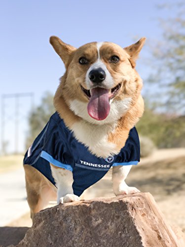NFL Tennessee Titans Dog Jersey, Size: Medium. Best Football Jersey Costume for Dogs and Cats. Licensed Jersey Shirt.