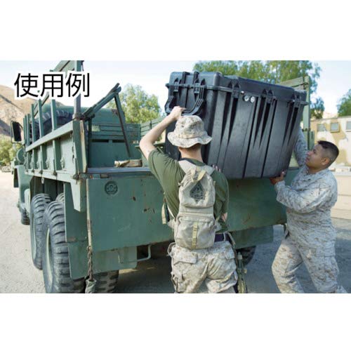 Pelican 1560 Case With Foam (Black)