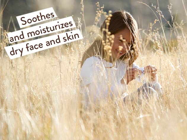 Babo Botanicals Moisturizing Plant-Based 2-in-1 Shampoo and Wash - with Organic Calendula and Oat Milk - For Babies, Kids and Adults with Sensitive or Dry Skin and Scalp - Hypoallergenic and Vegan - 16 fl. oz.