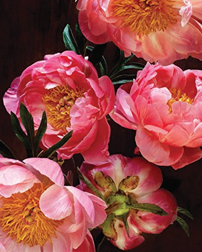 Pretty Peonies: 20 Different Notecards and Envelopes (Floral Stationery Set, Flower Photography Notecards)