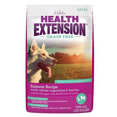 Health Extension Dry Dog Food, Natural Food with Added Vitamins and Minerals, Suitable for All Puppies, Grain Free, Duck Recipe with Whole Vegetable and Berries (4 Pound)