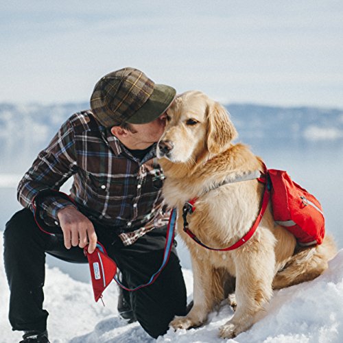Kurgo Dog Saddlebag Backpack, Back Pack Dog Harness, Hiking Pack for Dogs, Packs for Pets to Wear, Camping and Travel Vest Harness, Reflective, Lightweight, Baxter Pack for Medium and Large Pets