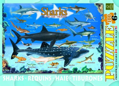 Sharks 100 Piece Jigsaw Puzzle