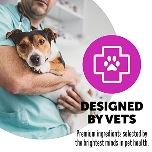 SmartyPants Dog Vitamins and Supplements, Multivitamin with Glucosamine, Chondroitin, and Probiotics for Joint, Skin, and Gut Support, Peanut Butter Flavor, 60 Soft Chews by SmartyPaws