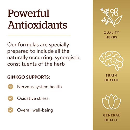 Solgar Super Ginkgo, 120 Vegetable Capsules - Full Potency (FP) - Antioxidant and Nervous System Support - Brain Health - Non-GMO, Vegan, Gluten Free, Dairy Free, Kosher - 120 Servings