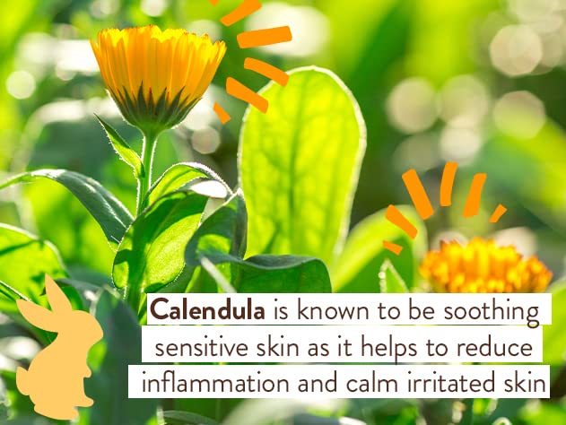 Babo Botanicals Moisturizing Plant-Based 2-in-1 Shampoo and Wash - with Organic Calendula and Oat Milk - For Babies, Kids and Adults with Sensitive or Dry Skin and Scalp - Hypoallergenic and Vegan - 16 fl. oz.