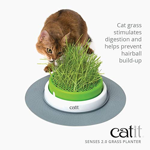 Catit Senses 2.0 Cat Grass Planter, Interactive Cat Toys