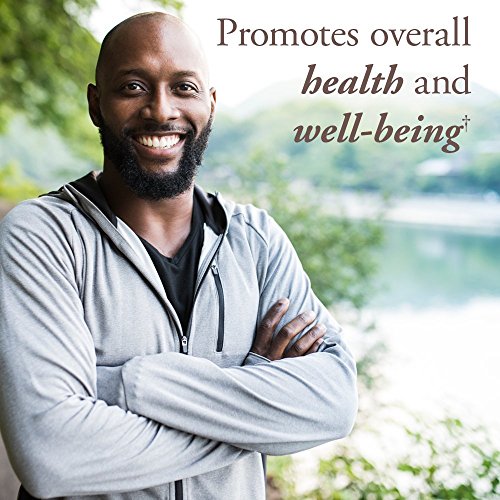 Garden of Life mykind Organics Whole Food Multivitamin for Men 40+, 60 Tablets, Vegan Mens Multi for Health, Well-Being Certified Organic Whole Food Vitamins, Minerals for Men Over 40, Mens Vitamins